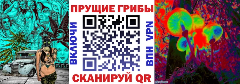Псилоцибиновые грибы MAGIC MUSHROOMS  Коряжма 