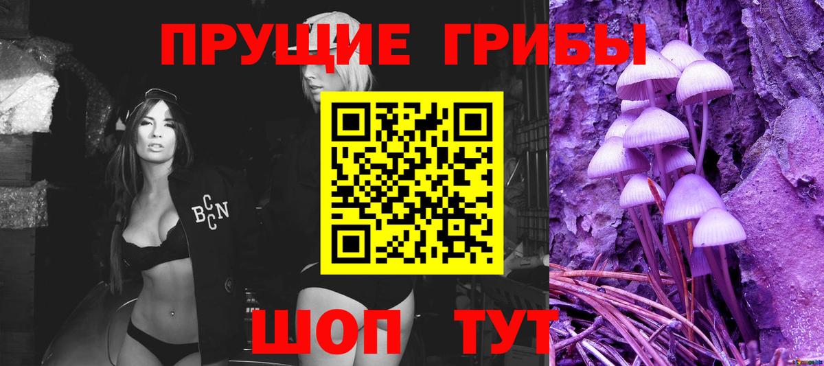 Псилоцибиновые грибы Cubensis Коряжма