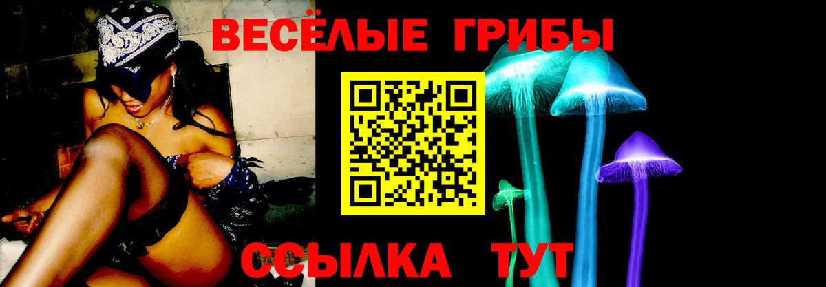 Псилоцибиновые грибы мицелий  Вход с VPN  Коряжма 