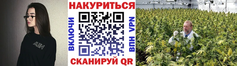 закладка Коряжма Каннабис VHQ